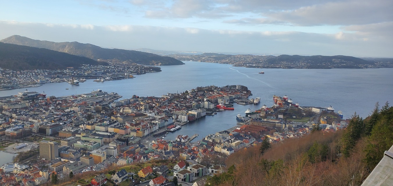 Bergen From Above